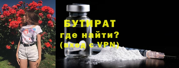 индика Богородск