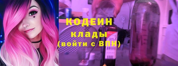 индика Богородск