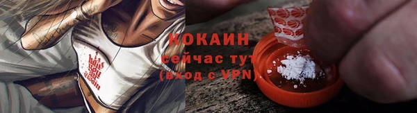 индика Богородск