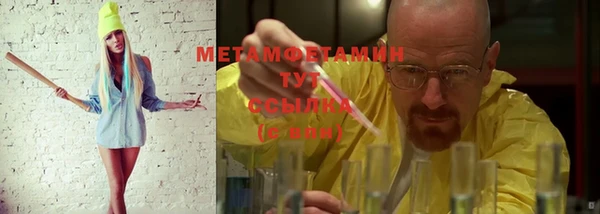 индика Богородск