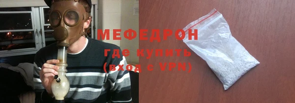 индика Богородск