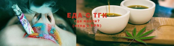 индика Богородск