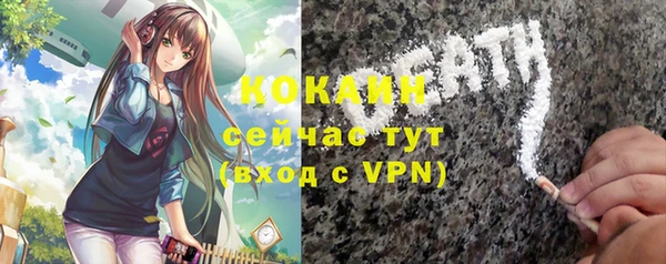 2c-b Богородицк