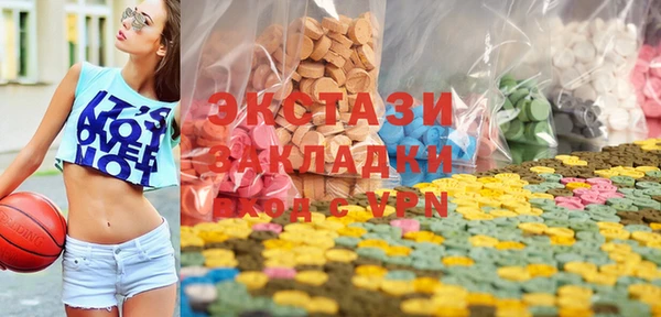 индика Богородск