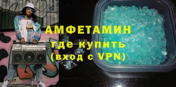 индика Богородск