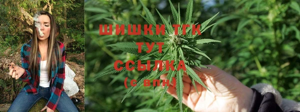 кокаин перу Богданович