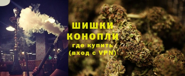 индика Богородск