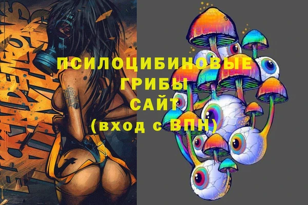 индика Богородск