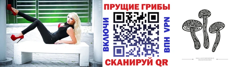 гидра как войти  Шелехов  Галлюциногенные грибы GOLDEN TEACHER 