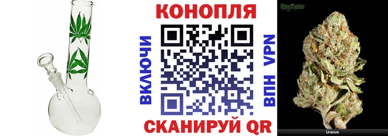 Бошки Шишки OG Kush  где купить наркоту  Шелехов 